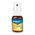 Ambroxmel Spray Gengibre 30ml