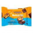 Bombom Nutsbites Castanha e Chocolate 15g